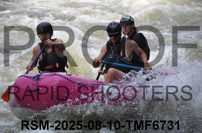 RSM-2025-08-10-TMF6731