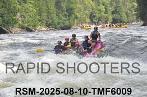 RSM-2025-08-10-TMF6009
