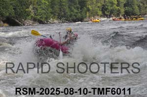 RSM-2025-08-10-TMF6011