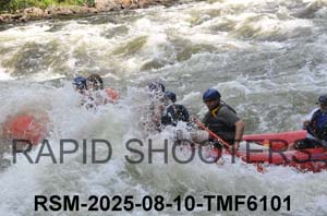 RSM-2025-08-10-TMF6101