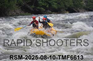 RSM-2025-08-10-TMF6613