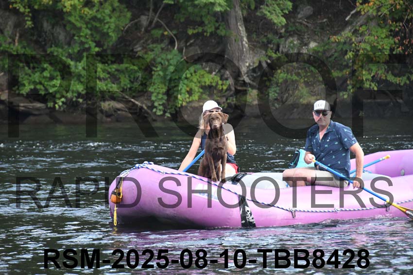 RSM-2025-08-10-TBB8428