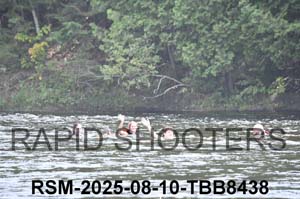 RSM-2025-08-10-TBB8438
