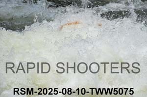 RSM-2025-08-10-TWW5075