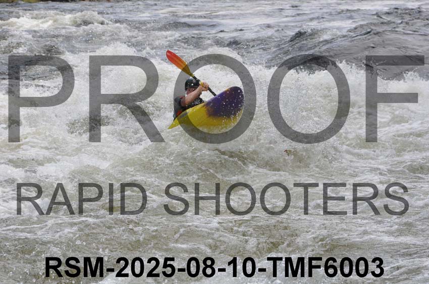 RSM-2025-08-10-TMF6003