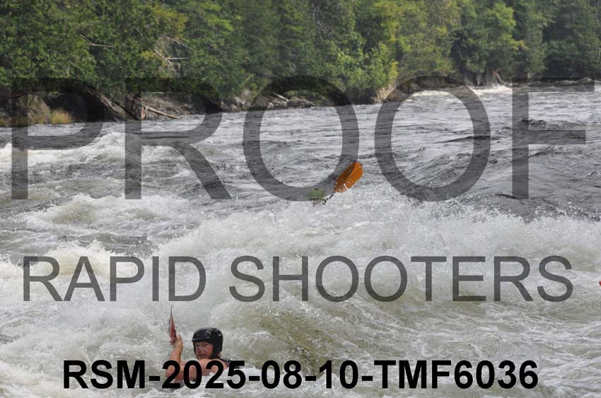 RSM-2025-08-10-TMF6036