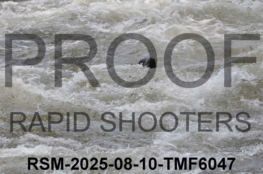RSM-2025-08-10-TMF6047