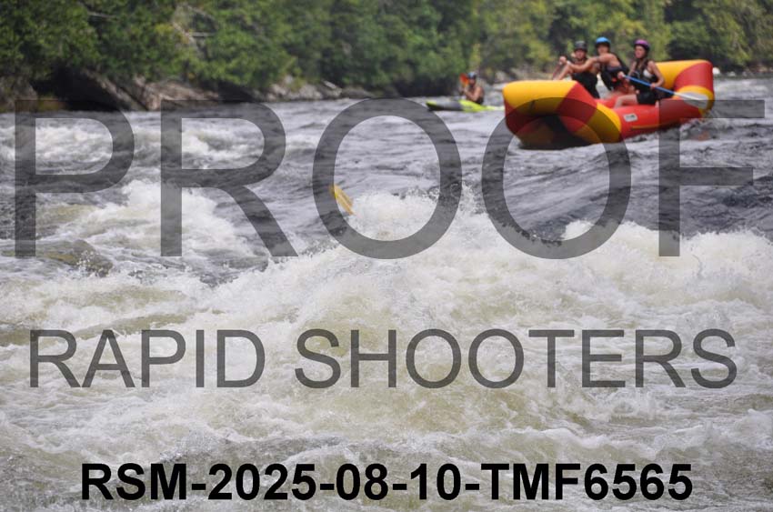 RSM-2025-08-10-TMF6565