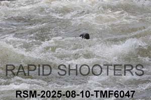 RSM-2025-08-10-TMF6047