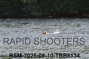 RSM-2025-08-10-TBB8134