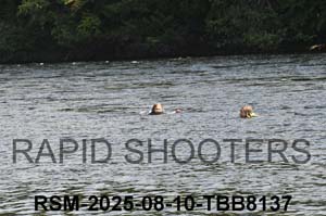 RSM-2025-08-10-TBB8137
