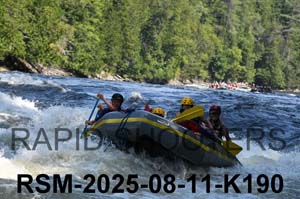 RSM-2025-08-11-K190