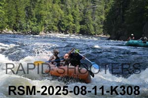 RSM-2025-08-11-K308