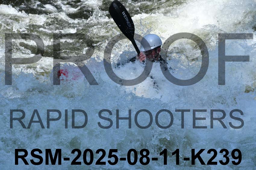 RSM-2025-08-11-K239