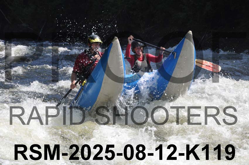 RSM-2025-08-12-K119