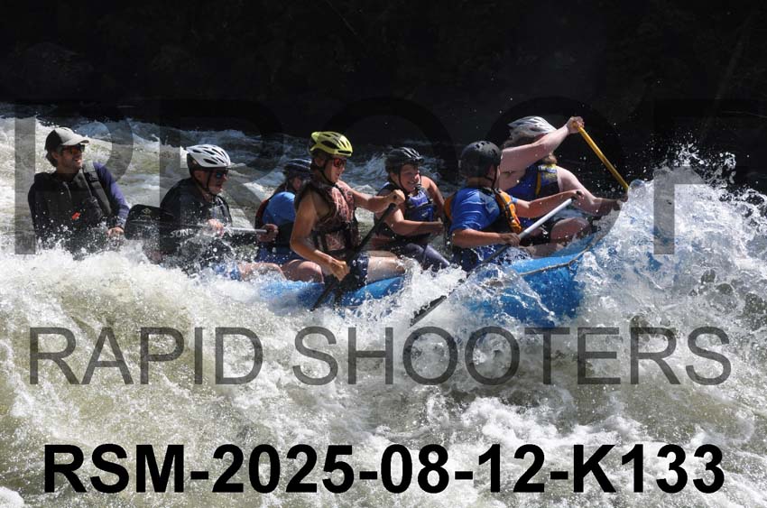 RSM-2025-08-12-K133