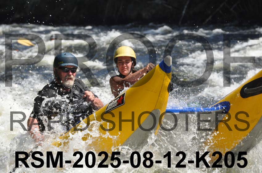 RSM-2025-08-12-K205