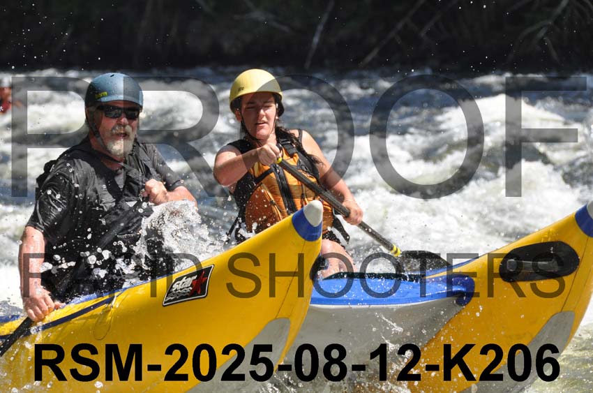 RSM-2025-08-12-K206