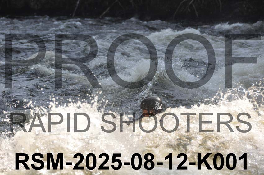 RSM-2025-08-12-K001