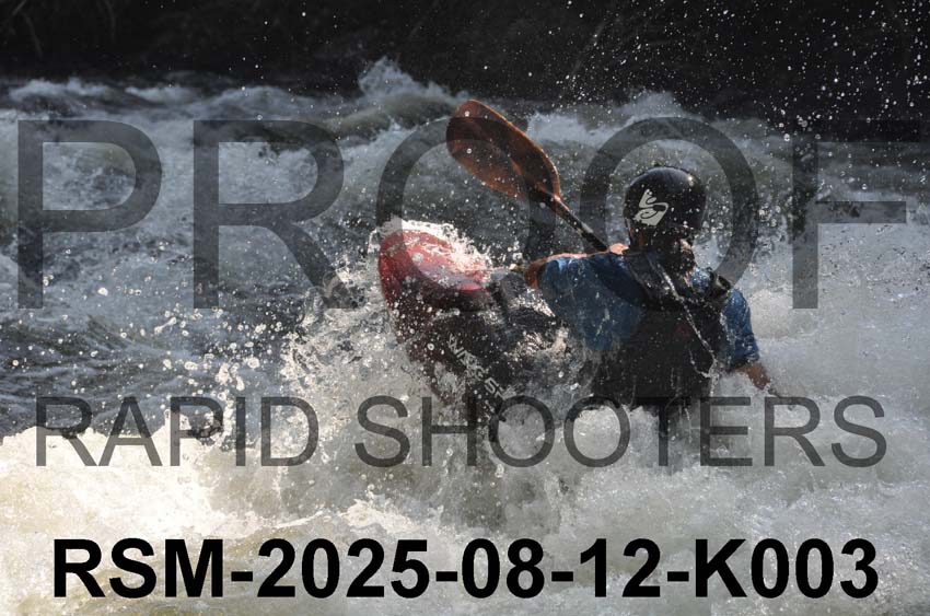 RSM-2025-08-12-K003