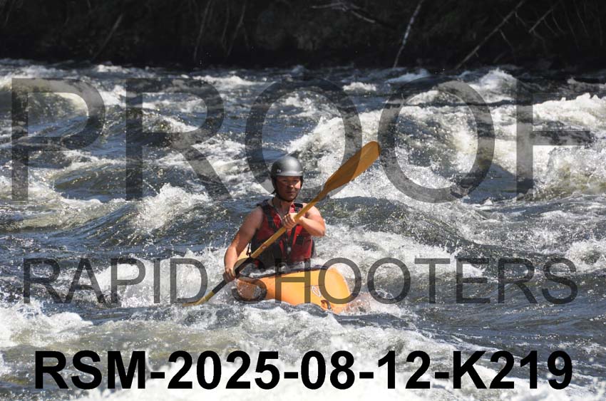 RSM-2025-08-12-K219