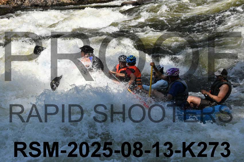 RSM-2025-08-13-K273
