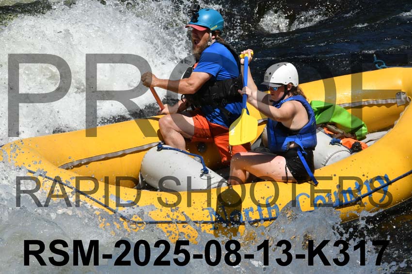 RSM-2025-08-13-K317