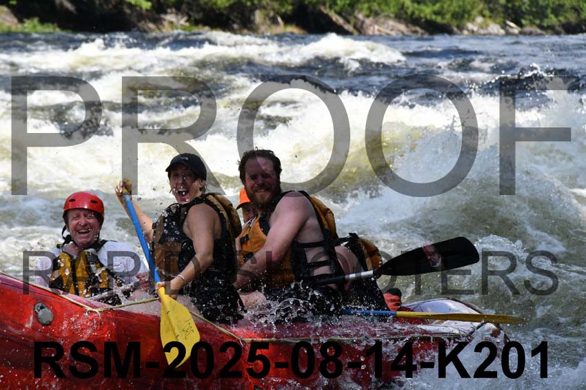 RSM-2025-08-14-K201