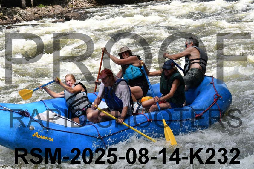 RSM-2025-08-14-K232