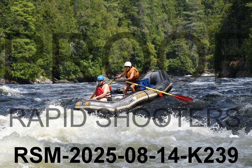 RSM-2025-08-14-K239