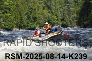 RSM-2025-08-14-K239