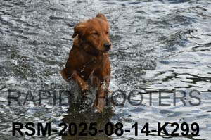 RSM-2025-08-14-K299
