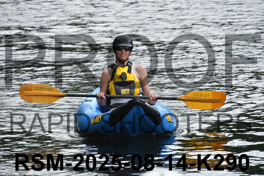 RSM-2025-08-14-K290