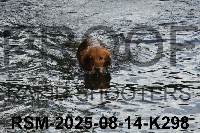 RSM-2025-08-14-K298