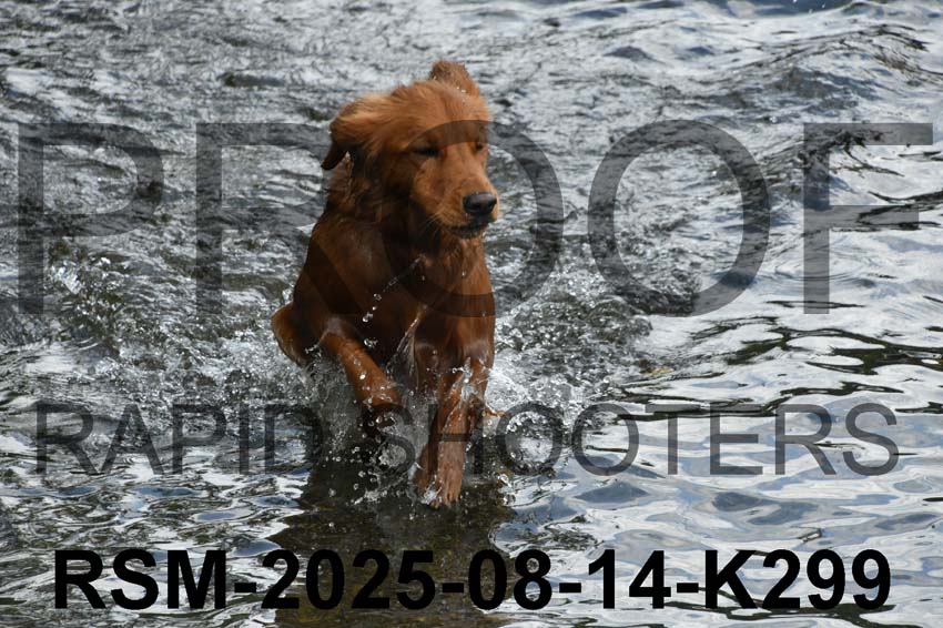 RSM-2025-08-14-K299