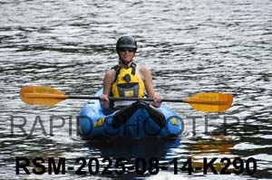 RSM-2025-08-14-K290