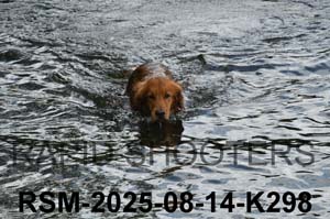RSM-2025-08-14-K298