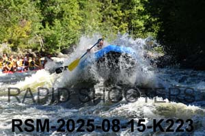 RSM-2025-08-15-K223