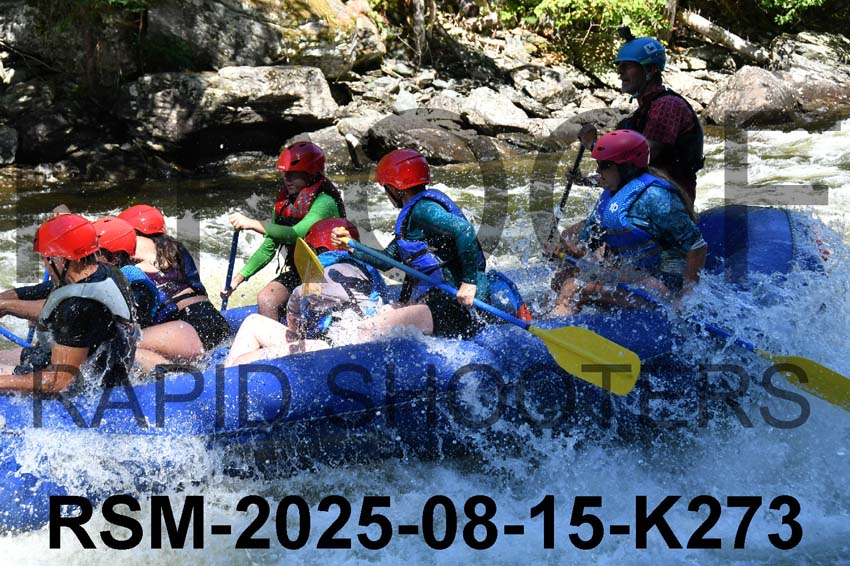 RSM-2025-08-15-K273