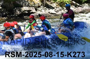RSM-2025-08-15-K273