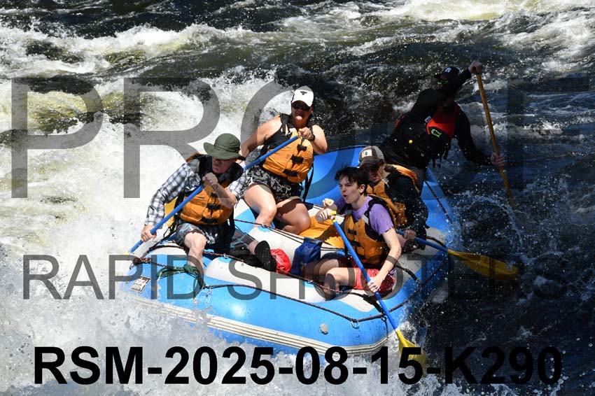 RSM-2025-08-15-K290