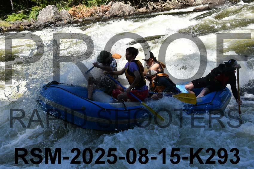 RSM-2025-08-15-K293