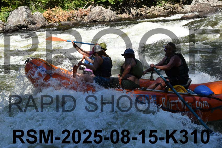 RSM-2025-08-15-K310