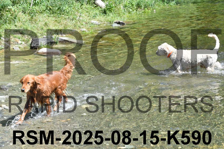 RSM-2025-08-15-K590