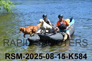 RSM-2025-08-15-K584