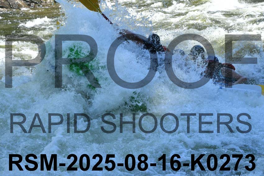 RSM-2025-08-16-K0273
