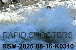 RSM-2025-08-16-K0310