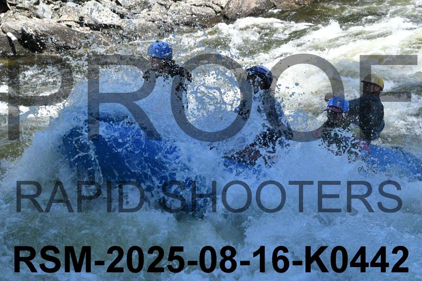 RSM-2025-08-16-K0442