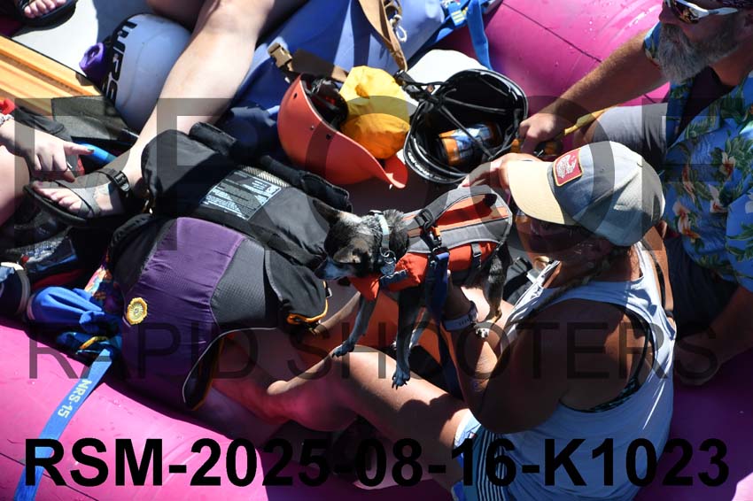 RSM-2025-08-16-K1023