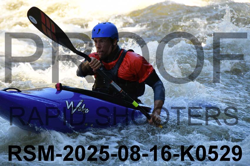 RSM-2025-08-16-K0529